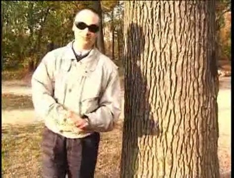 Le Vent dans la boîte aux lettres (Ateliers Varan)