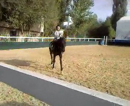 berkay takipte 1:) koçak binicilik berkay kaya