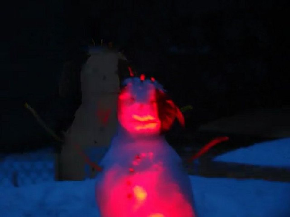 le petit bonhomme  de neige