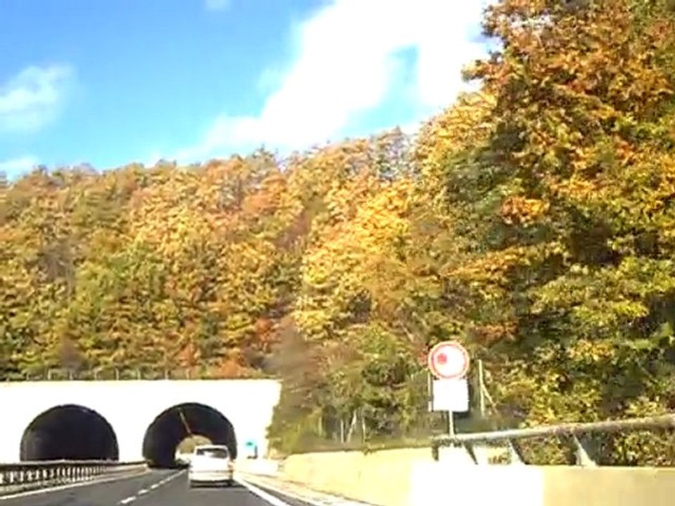 Viratarupa Viaggia tra Firenze e Bologna verso l'infinito ..