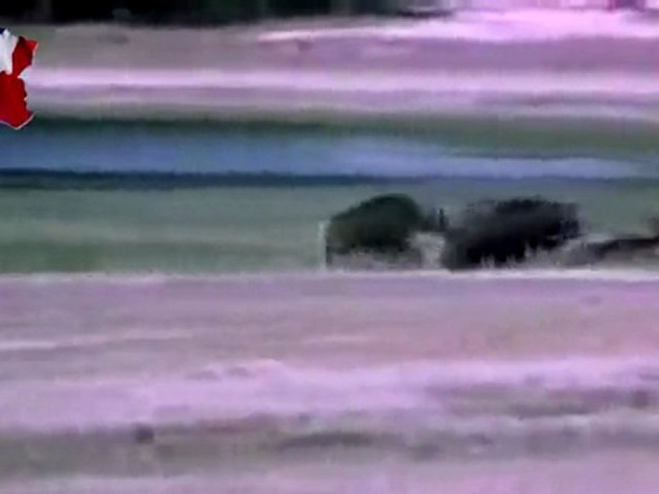 Guepard VS Phacochères