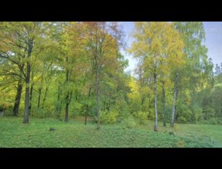 Une année en 40 secondes