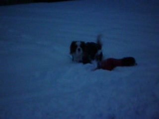 colin ed emylou sulla neve