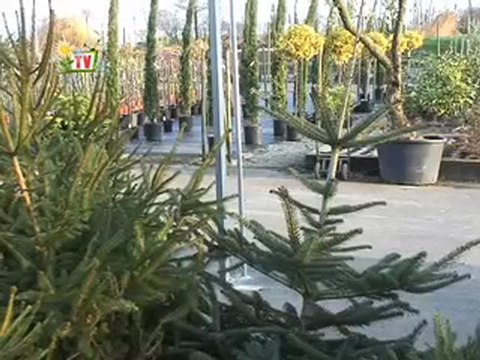 Journal TV Vendée Agricole 18 décembre 2009