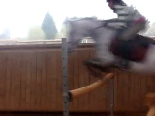 Lady D'Auvergne &é Moa !