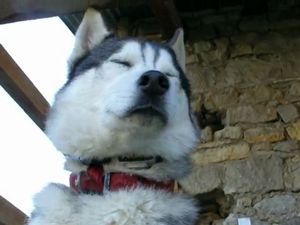 Quand apache fait la gueule !!!