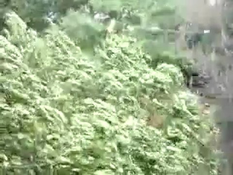 Vidéo sur YouTube de la tempête filmée par un amateur, sam