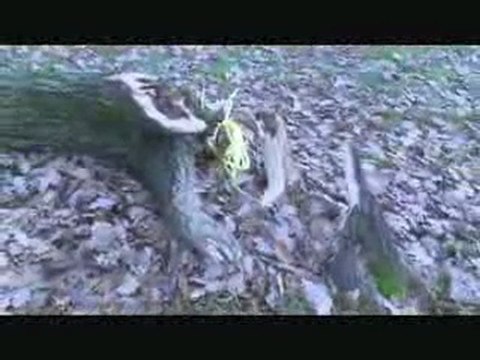 Vidéo sur YouTube de la tempête filmée par un habitant de