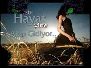 yürek yaram..yıldız tilbe (gül dal)