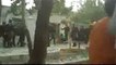 Iran : des policiers battent des manifestants