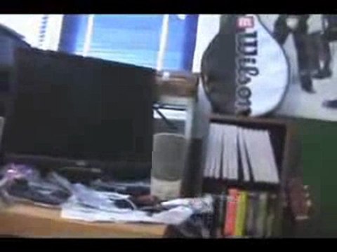 Les chats stars du web (6)