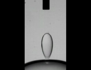 Des gouttes qui rebondissent au lieu de fusionner