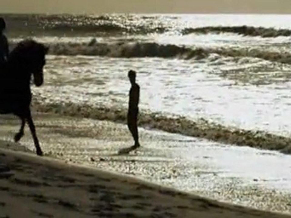 Baschi - unsterblich