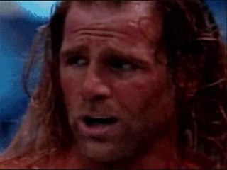 ric flair vs shawn michaels wrestlemania 24 XXIIII