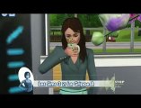 Les Sims surfent sur la grippe A