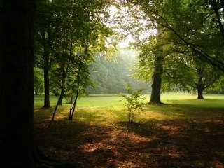 CoŞKuN CaNSıZ & CEM KARACA- BEN SANA MECBURUM BİLEMESSİN