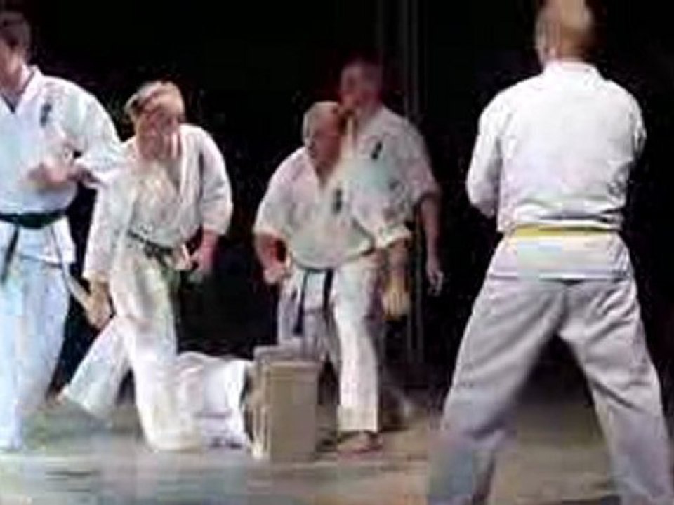 Festival des Arts martiaux:  Karaté Kyokushinkai