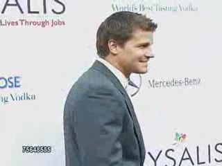 Chrysalis' Fifth Annual Butterfly Ball 4