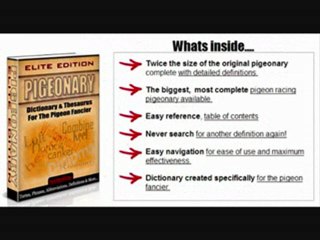 Pigeon Pals/ Still Time Left Before Christmas