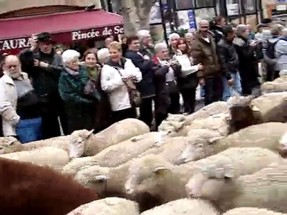 Fête des Bergers à ISTRES 12/2009 par Carmelo LECHIARA (2)