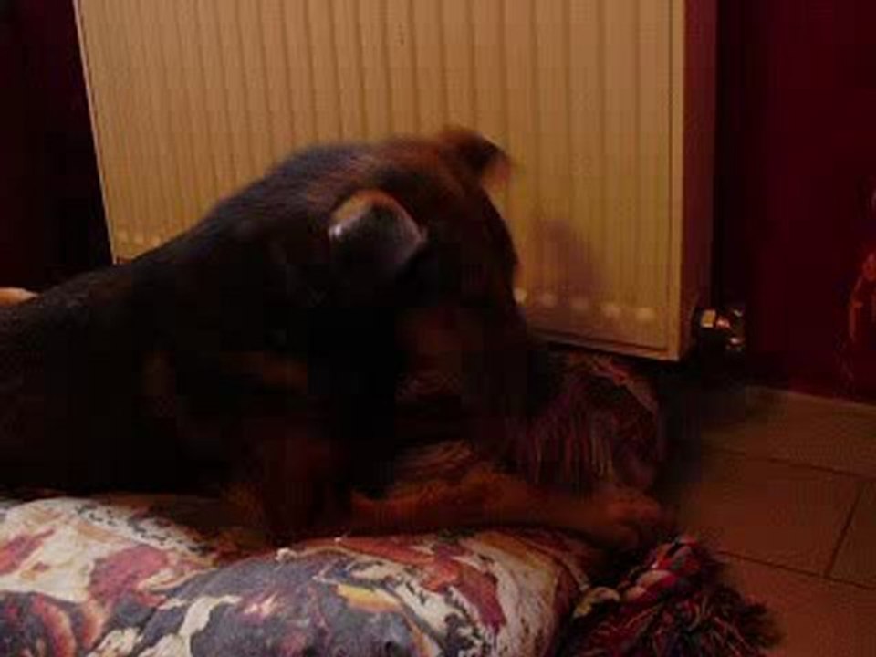 Espoir découvre comment jouer