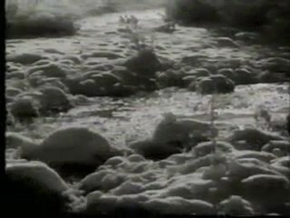 Weihnachten in Wochenschauen