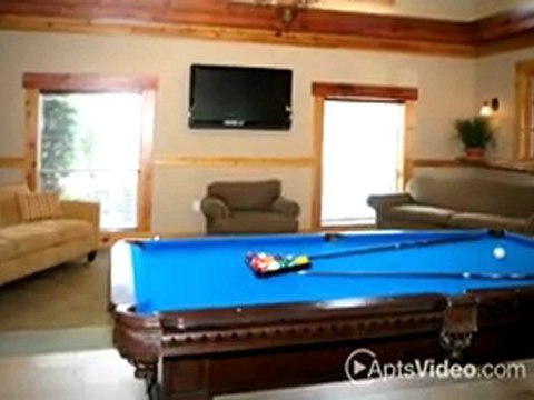 Renaissance Village at Shadow Lake Apartments in Houston, TX