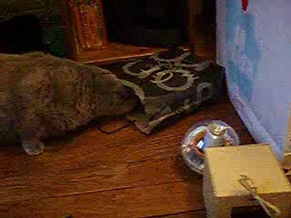 Bubble m'aide à faire les cadeaux2