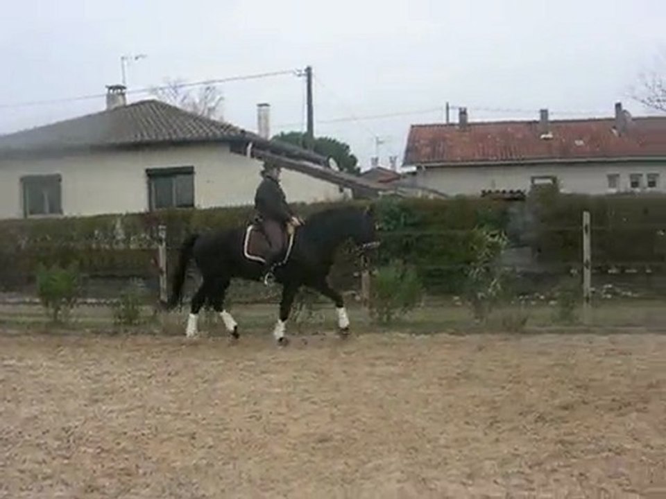 DSCN7793
