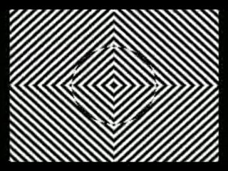 Illusion d'optique