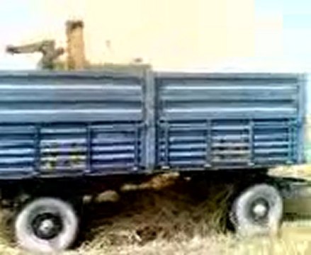 Johndere 955 ve tümosan bugday hasadında