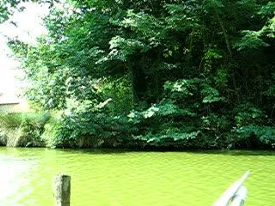 Maubrun