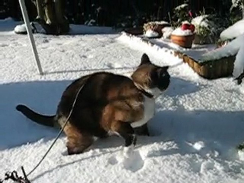 Chouette la neige !