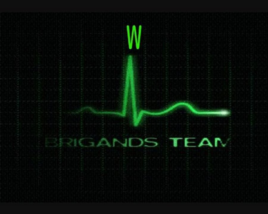 BRİGANDS TEAM