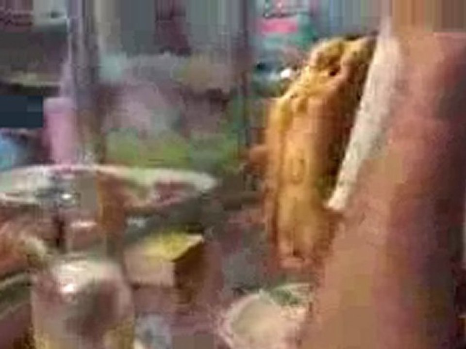 javi bocho tiene hambre
