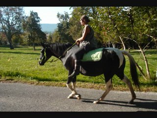 Luciole: octobre et novembre 2009