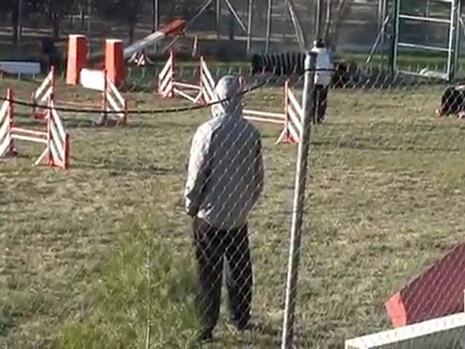 nal en agility, première
