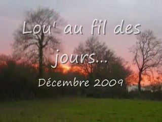 Lou' (décembre 2009)