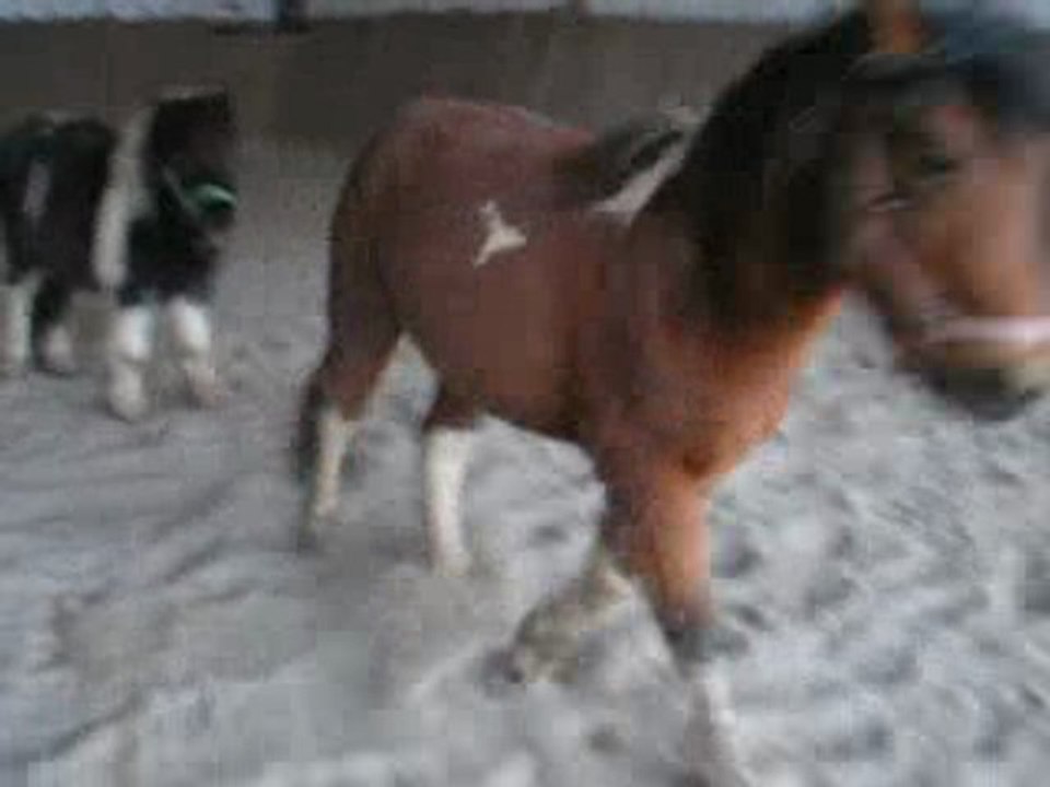 tomtom et piloulou