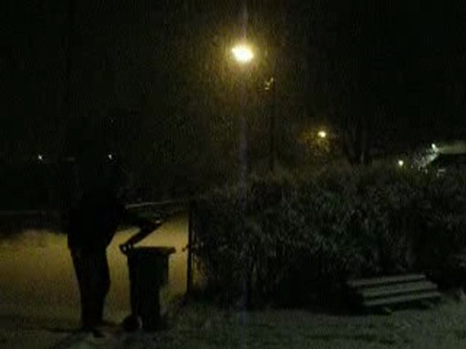 Neige