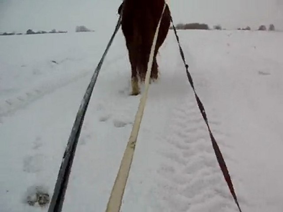luge-joering2