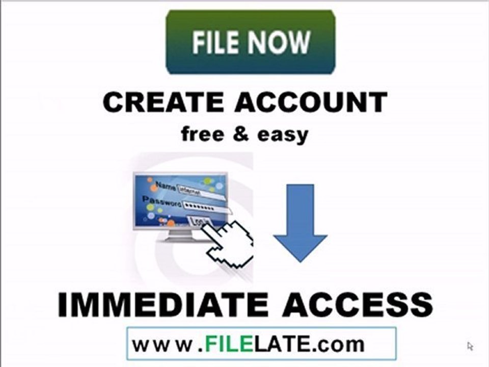 Best online 2008 tax software: www.FileLate.com