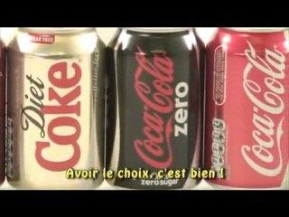 la matrice consommation - the good consumer