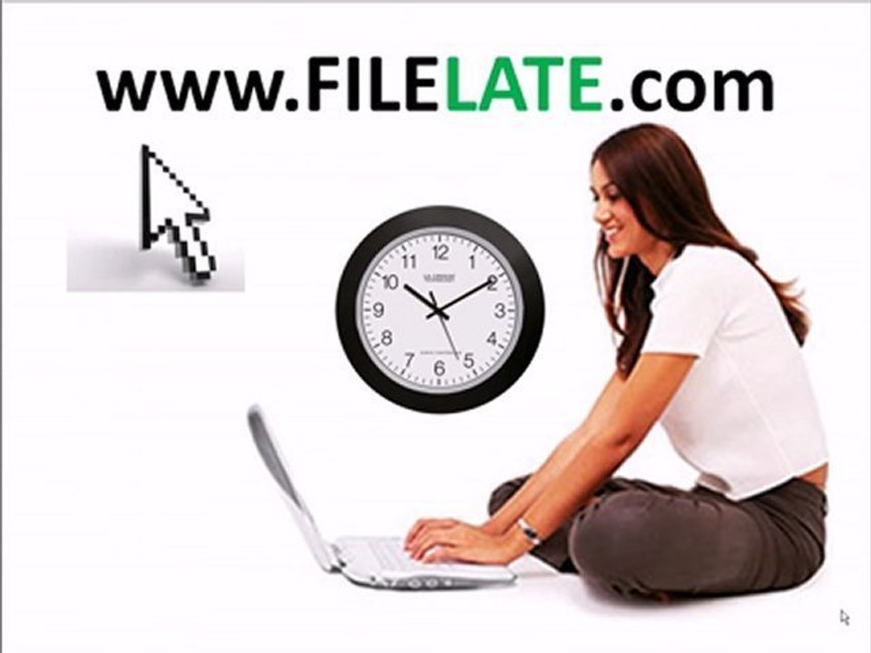 Save time and money: do your 2008 taxes online