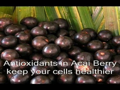 Acai Berry Juice Benefits