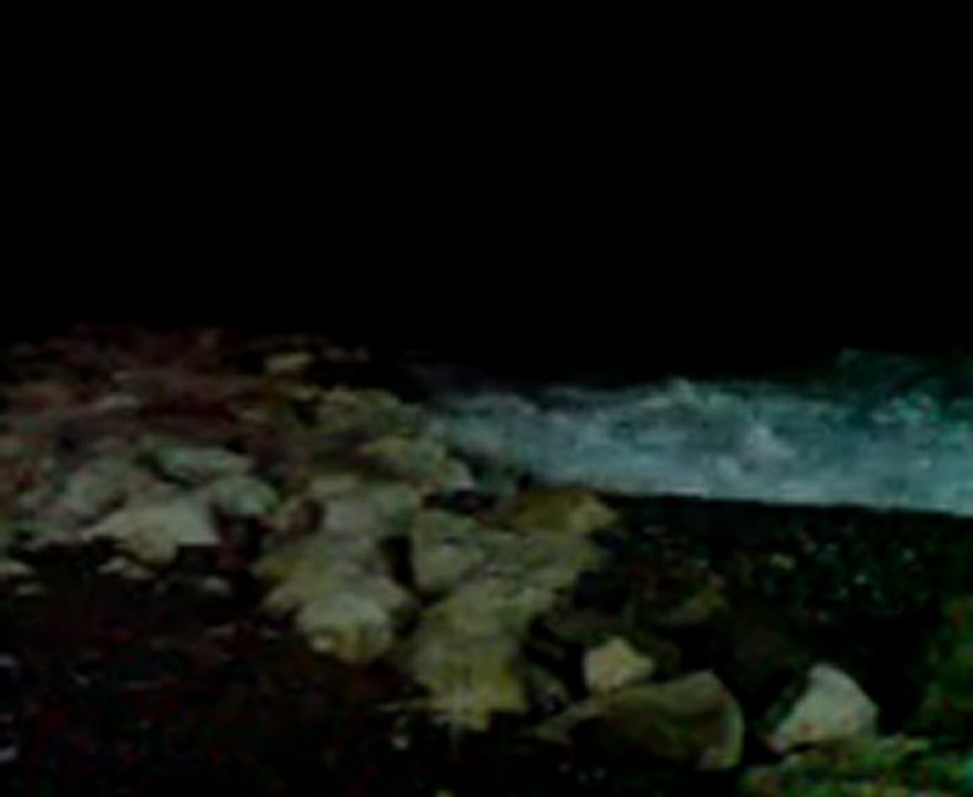 mer démonté à cagnes sur mer 3