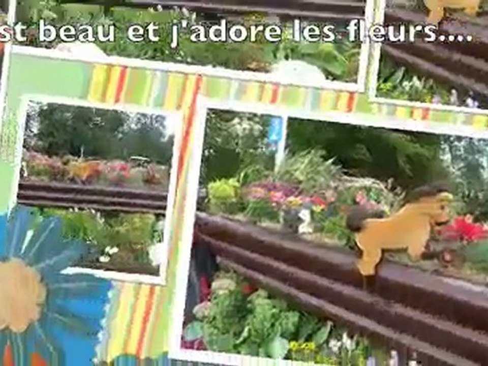 Buggy, mon séjour à Burghley.