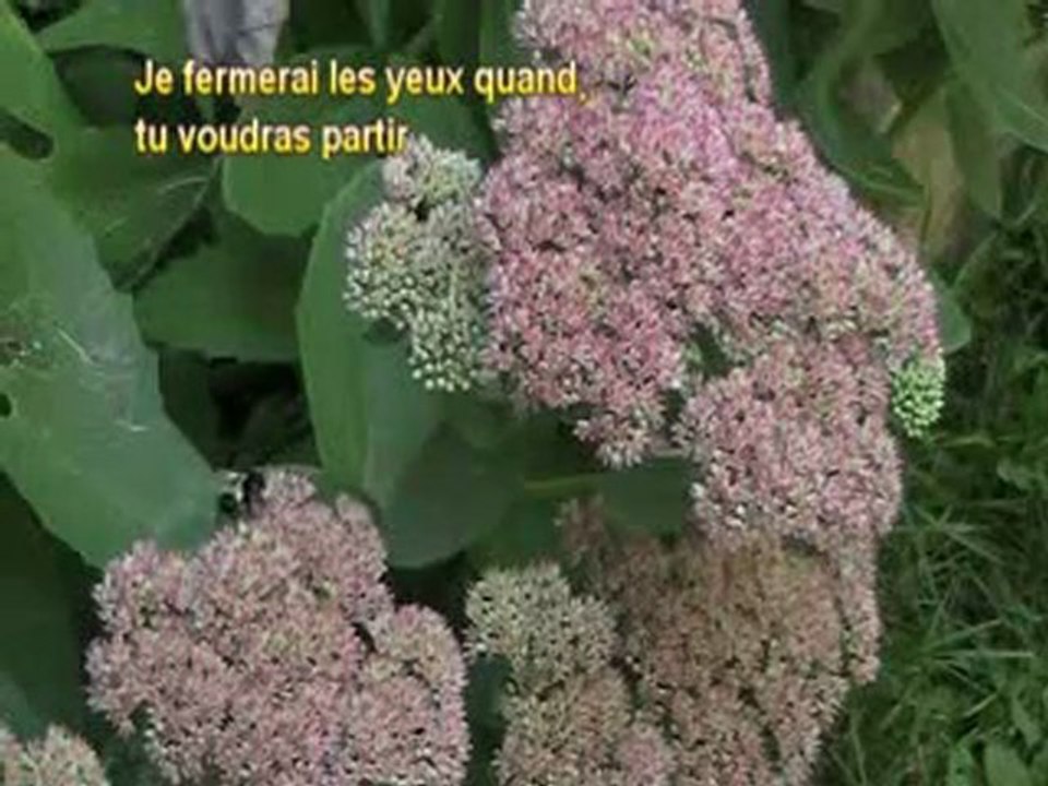 Un bout de chemin