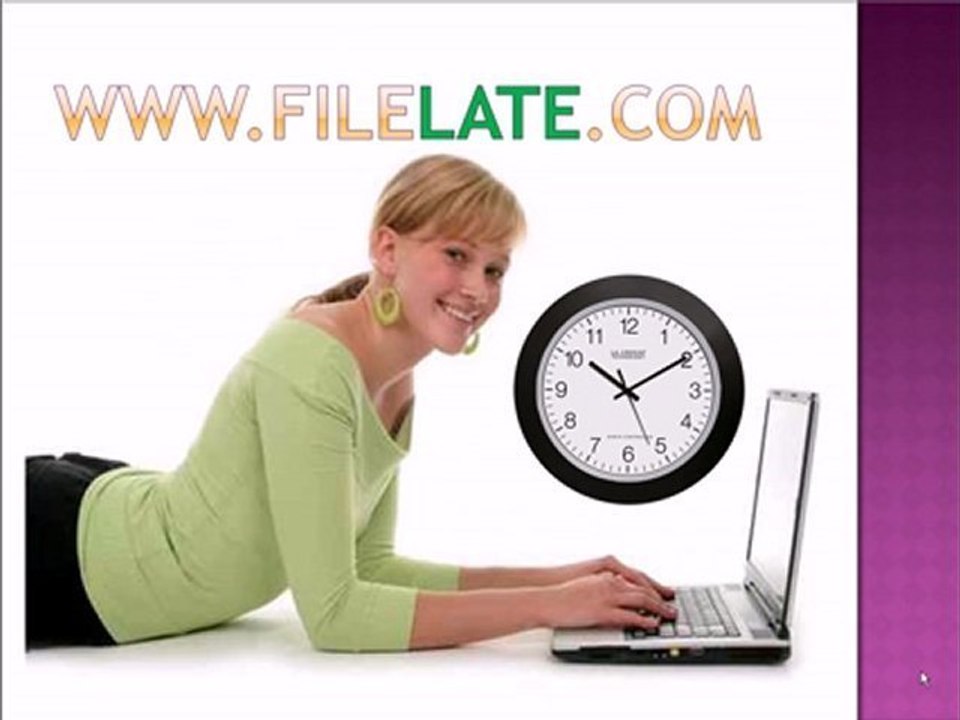 2008 tax: self-service online filelate system