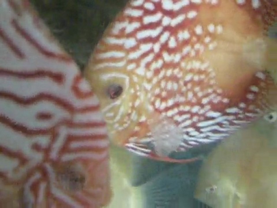 DSCN1180